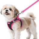 Rabbitgoo Dog Harness Small Sized and Leash Set, Step-in Breathable Pet Harness, Soft Walking Reflective Puppy Vest for Small Dogs, Black & Rose Red, S (Chest: 15.1 - 16.5")