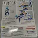 TAMASHII NATIONS - Dragon Ball Super - SSGSS Vegeta -Unwavering Saiyan Pride- S.H.Figuarts Action Figure | Dragonball Super 6 Inch Action Figure S.H. Figuarts - Super Saiyan Blue Vegeta Unwavering Pride