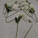 7PCS Artificial Freesia Flowers, Faux Freesia Bouquet for Home Decor, Wedding, Party Floral Arrangements (White)