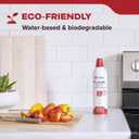 Kidde Flame Out Fire Spray, Extinguishing Aerosol for Home Use, Kitchens, Dorms, Apartments, Compact, Portable & Easy to Use, Non-Toxic, 17.6 oz 1 Pack