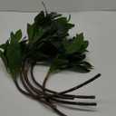 Greenery Branches 21 Tree Stems Artificial Plants Green Leaves Faux Bush, 6pcs Set