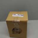 READAEER Resin Skull, Human Head Model for Home Decoration, Halloween Statue, Skull Model for Bookshelf and Desktop (White)