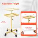 TASALON Rolling Salon Cart, Mobile Styling Station with Wheels Aluminum Rolling Tray Trolley for Salon Essentials, Adjustable Heightfor Hairstylist Tray with 10 PCS Disposable Salon Tray Cover,Gold