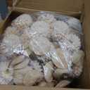 20''H Fake Flowers in Large Vase for Centerpiece Table Decorations with 10Pcs Fake Mums Flowers Eucalyptus Stems Faux Pompon Kiku Flowers Arrangement for Home Decor (Beige/Black Vase)