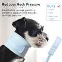 Cat Neck Brace Cover - Breathable Elizabethan Collar for Post-Surgery Recovery Anti-Lick Wound Adjustable Protective Cervical Cone for Small Dogs and Cats (Neck Girth 7.9-11.0" Depth2.4