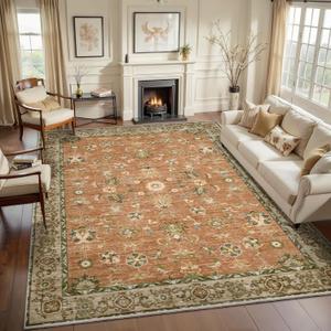 Tangsoo Washable 8x10 Large Terracotta Area Rug for Living Room Non Slip