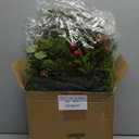 Lyrow 8 Pcs Christmas Candle Rings Wreath Xmas Kitchen Cabinet Mini Wreath Artificial Berries Snowy Pine Candle Ring Holder for Christmas Chandelier Home Table Centerpiece Indoor Decor