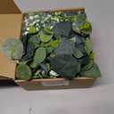 N&T NIETING 1 Pack Artificial Eucalyptus Garland with Lights, 6FT Artificial Greenery Garlands, Battery Operated Twig Vine for Room Stairs Mantle Wedding Holiday Easter Decoration Indoor Outdoor