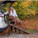 Free-Standing Extra Wide Carpeted Pet Ramp