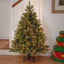 National Tree Company 4.5 ft Pre-Lit Downswept Douglas Fir Artificial Christmas Tree, 450 Clear Lights, 525 Tips, Includes Stand, Green