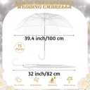 Aodaer 39.4 Inch Clear Wedding Umbrella with Foldable Storage Box