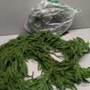 2 PCS 6FT Norfolk Pine Garland Realistic - 72" Thick Deluxe Faux Christmas Greenery Garland Artificial Green Winter Pine Garlands for Mantle Staircase Table Indoor Outdoor Holiday Decoration