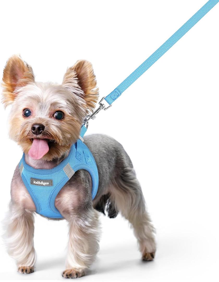 Rabbitgoo Dog Harness Small Sized and Leash Set, Step in Soft Light Puppy Vest, Breathable Mesh Pet Harness, Reflective for Safe Easy Walking, Blue XS