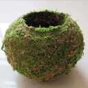 Moss Ball Flower Pot Natural Planter Bonsai Plant Holder Bird Nest for DIY Gardening Home Table Decoration - 9cm