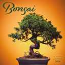Carousel Calendars, Bonsai 2026 Wall Calendar, 12'' X 12'', 16-Month Calendar with Stapled Binding
