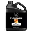 Naturevibe Botanicals Apricot Oil 32 Ounces | 100% Pure and Natural | Great for Skin Care and Hair Care