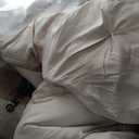 Bedsure 7-Piece Oversized Queen Comforter Set & Sheets, Beige Bed in a Bag