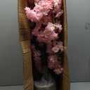 Cherry Blossom Tree Bedroom Cherry Blossom Plant in Pot, Pink Fake Tree with Realistic Leaves and Trunk, Decorative Artificial Potted for Hotel Wedding Festival Party(0.9m/3ft)