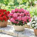 Fake Geraniums Artificial Flowers for Outdoors Outside, 6 Bundles Pink Silk Geraniums Fake Flowers Plants UV Resistant Realistic Faux Flowers for Outdoor Planters Garden Balcony Yard Porch Indoor