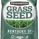 Pennington Kentucky 31 Tall Fescue Grass Seed 20 lb