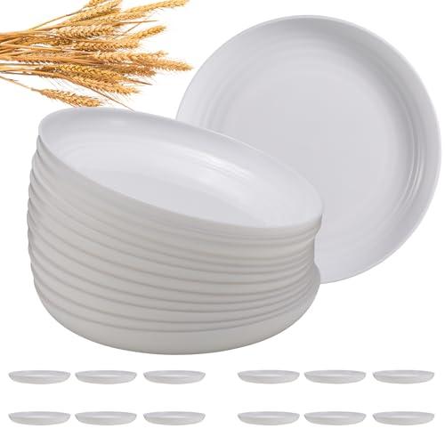 HEYCOME 12 Pcs Unbreakable Deep Dinner Plates Set, 10 inch Reusable Plastic Wheat Straw Plates, Microwave and Dishwasher Safe Plate for Kitchen, Lightweight Plate for Dessert, BPA Free, White