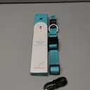 Illumifun Light Up Dog Collar, USB Rechargeable LED Dog Collar, Adjustable Reflective Lighted Pet Collar for Night Walking Camping (Blue, Large)