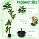 6 FT Artificial Plants Rubber Tree, Tall Fake Plant Indoor with Black Pot Large Faux Standing Fiddle Leaf Fig Floor Tree for Home Office Living Room Floor Patio Housewarming Decor