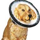 Old World Christmas Cone of Shame Dog Glass Blown Ornament for Christmas Tree