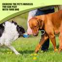 GLURUITE Rope Ball Dog Toy 12.59 Inches Chewing Ball for Molar Teeth Cleaning Interactive Outdoor Training Tug of War Toy for Small Medium and Larger Breeds Blue