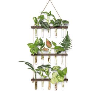 Mkono Plant Propagation Tubes, 3 Tiered Wall Hanging Terrarium with Wooden Stand Mini Test Tube Flower Vase Glass Planter Stations for Hydroponic Cutting Home Garden Office Decor Plant Lover Gift (Medium, Brown)