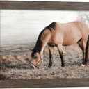 Horse Wall Art Decor Bedroom: Wild Animal Wood Framed Picture Brown Horse on Grassland Print Artwork Vintage Wildlife Painting for Farmhouse Living Room Kitchen