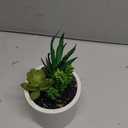 Northlight 9" Artificial Succulent Arrangement in White Ceramic Pot