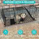 Live Animal Cage Trap, 32" x 11" x 12" Heavy Duty Folding Raccoon Traps, Humane Cat Trap for Stray Cats, Squirrels, Raccoons, Skunks, Groundhogs and Opossums, Catch and Release, Black