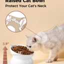 LoeJan Elevated Cat Food Bowl, 5 Oz Ceramic Raised and Tilted Water Bowl, Anti Vomiting and Protect Pets' Spines Dishes for Small Dog, Fat Faced Cat, Kitten (White, 2 Pack)