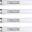 17 Inch T4 16W Fluorescent Bulb for Westek 20125 FA200WBC 16 Watt T4 Warm White, Furnlite FC-952 Light Bulb G5 Base 3000K