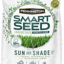 Pennington Smart Seed Sun and Shade Grass Mix 20 lb, Black Label (EXP 03/31/26)