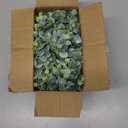 DearHouse Faux Eucalyptus Garland Plant, 2 Pack Artificial Vines Hanging Eucalyptus Leaves Greenery Garland for Wedding Backdrop Arch Wall Decor, 6 Feet/pcs UV Protected Indoor Outdoor