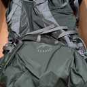 Osprey Talon 33L Men's Lightweight Hiking Backpack - Daypack for Travel & Camping, Green Canopy/Pine Leaf