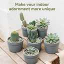 Pulovin 5LB Succulent and Cactus Pebbles, 1/5 Inch Jade Pebbles for Indoor Plants, Decorative Gravel for Vases, Bamboo, Succulent, Terrarium, Crafts, Cactus