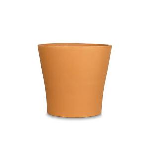 Flower Pot