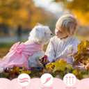 Sanwuta 8 Pieces Dog Dresses for Small Dogs Medium Puppy Clothes Girl Dog Outfit Cute Bowknot Pet Skirt Soft Lightweight Summer Apparel for Cats Puppies Party Wedding Photo Wear
