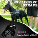 Neck Padded Service Dog Vest Harness and Leash Set, No Pull Adjustable Service Pet Harness with 8 Dog Patches, Reflective in Training Easy Control Pet Vest with 5ft Dog Leash for Medium & Large Dogs (Black)