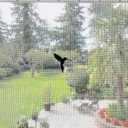 Retractable Screen Door Decals - 5 per Package - Keep Children Safe - Alert Birds, Dogs, Kids - Warn, Protect, Window Safety - Hummingbirds (Black)