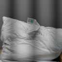 MARTHA STEWART Hotel Collection Pillow 500 Thread Count Damask Stripe Embroidered Feathers Soft Hypoallergenic 100% Cotton, Queen Size Set of 2, White 2