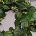 Artificial Greenery Wreath for Front Door