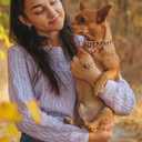 Rose Gold Cat Dog Collar Kitten Puppy Wide Stainless Steel Kitten Choker Curb Adjustable Chew Proof Cuban Link 1/2inch Chain with Rose Gold Bell Personalized Custom tag