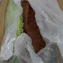 Cat Scratching Post for Indoor Cats and Kitten - 35.43" Tall Cat Scratching Post with Sisal Rope,Palm Tree Cat Scratch Post with Hanging Ball (35.4-Green, 35.4in)