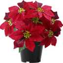 Poinsettia Plants Artificial 9 Heads 14 Inch Fake Poinsettias Christmas Flowers in Pot for Home Porch Office Indoor Outdoor Christmas Winter Decorations Hot Red (1PC)