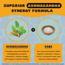 3 x Happy Strips Organic Ashwagandha KSM 66 & GABA for Stress Relief, Calmness, Sleep - Fast-Acting & Rapid-Dissolving, Chocolate Mocha Flavored, Organic, Vegan, Sugar-Free - 30 Count