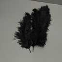 Shekyeon 12-14inch(30-35cm) Ostrich Feathers Plumes for Wedding Centerpieces Pack of 10 (Black)